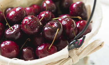 Services for the Fruit and Frozen Meat Industry