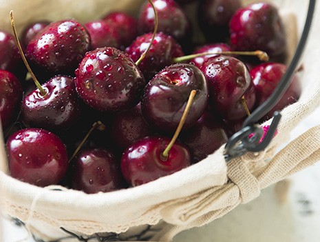 Services for the Fruit and Frozen Meat Industry